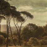 Дигитален принт драпер P116 - Image 2