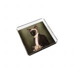 Послужавник PT2104 - Image 2