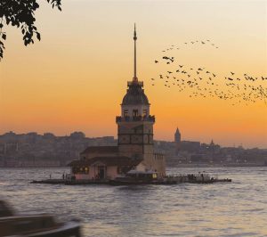 ПОСТЕР-МУРАЛ M864 - Image 2