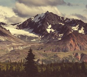 ПОСТЕР-МУРАЛ M867 - Image 2