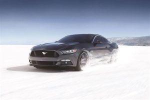 ПОСТЕР-МУРАЛ M917 - Image 3