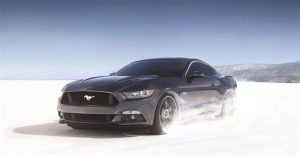 ПОСТЕР-МУРАЛ M917 - Image 4